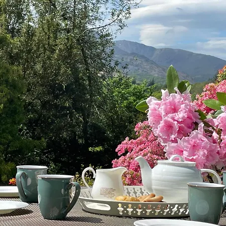 Semesterbostad Brunt *